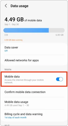 Enable Mobile Data Settings