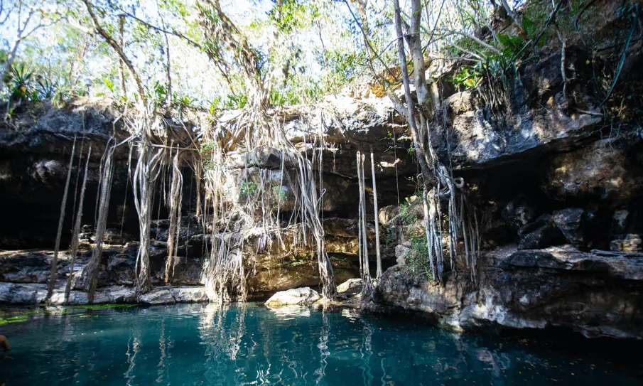 peaceful cenote in Tulum, Mexico