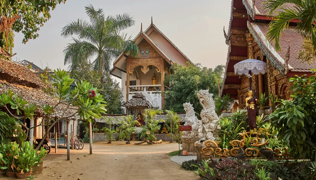 Gold temple with greenery in Chiang Mai, Thailand