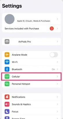 screenshot of the cellular data option in the settings menu on iPhone