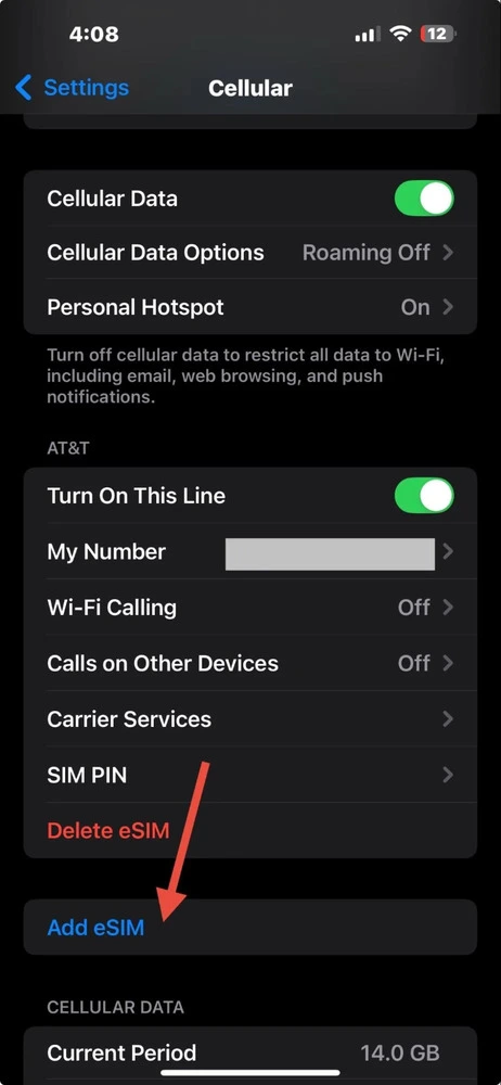iPhone screenshot of cellular data menu