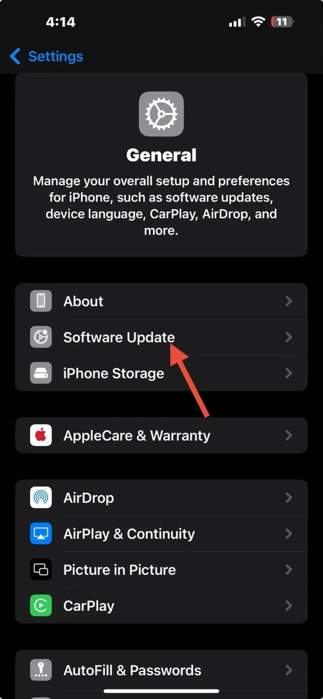 iPhone screenshot of general settings menu