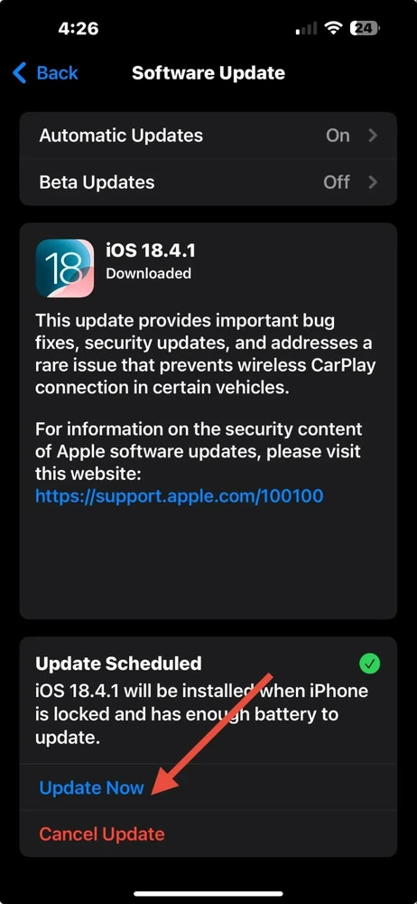 iPhone screenshot of software update menu in settings