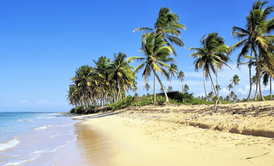 empty beach with blue skies in the Dominican Republic in December