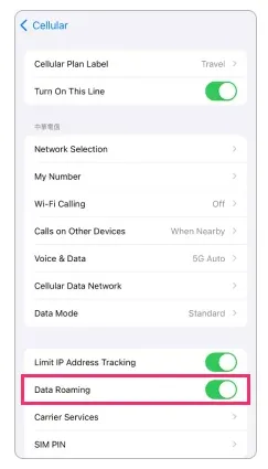 screenshot of where to turn data roaming on for an eSIM on Apple iPhone