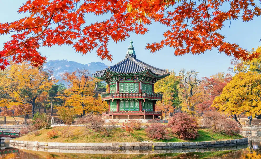 Gyeongbokgung Palace Grounds during fall foliage