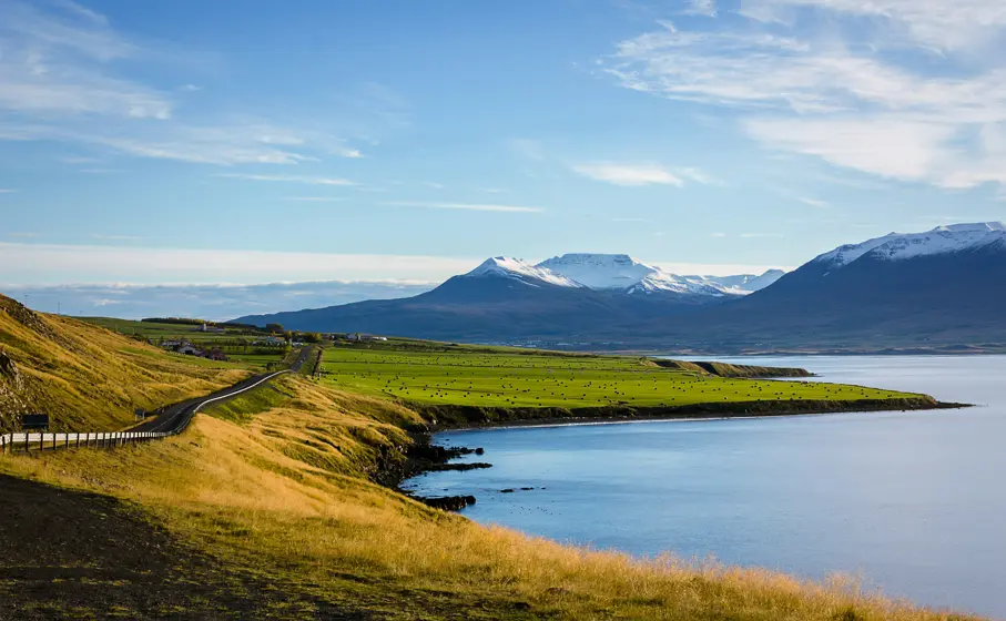 long road through nature with mountains in the background in Iceland