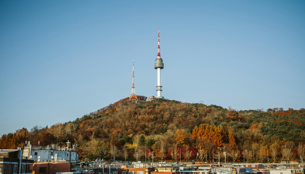 view of Namsan and Namsan Seoul Tower during autumn