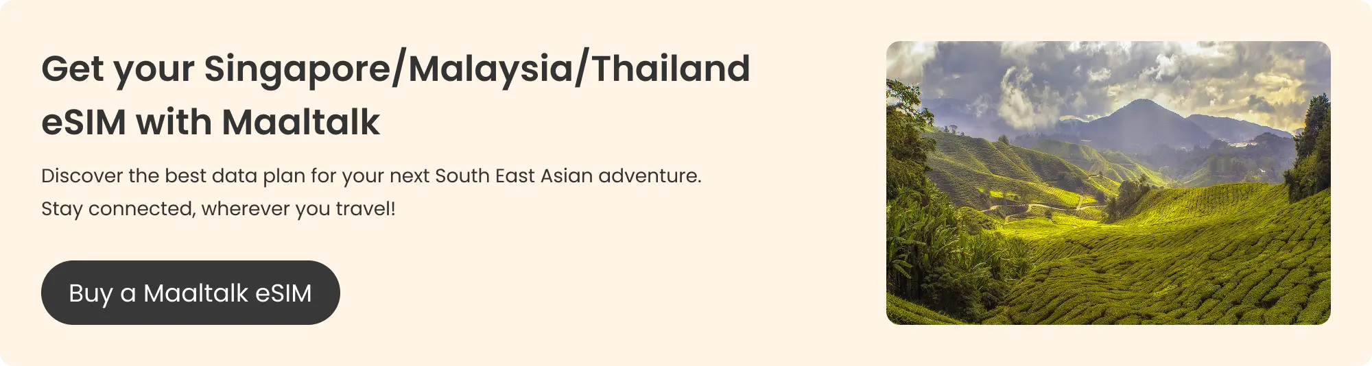 Maaltalk blog banner for buying a Singapore/Malaysia/Thailand eSIM