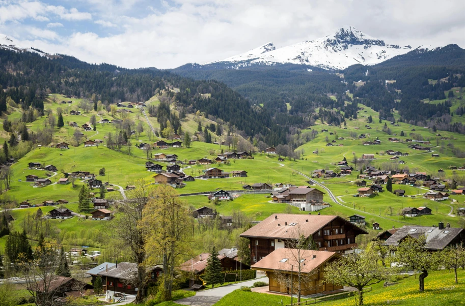 Swiss countryside with snow covered mountains and green grass”