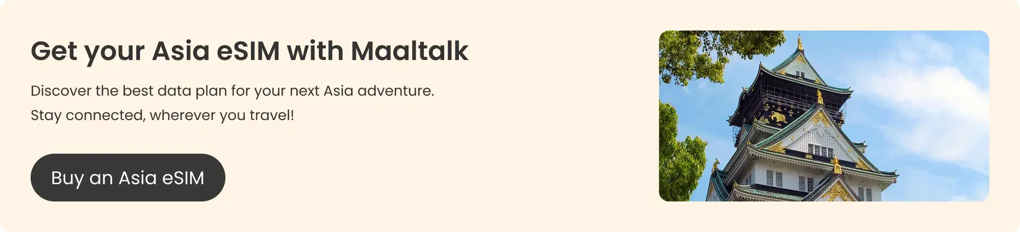 Maaltalk blog banner for buying an Asia eSIM
