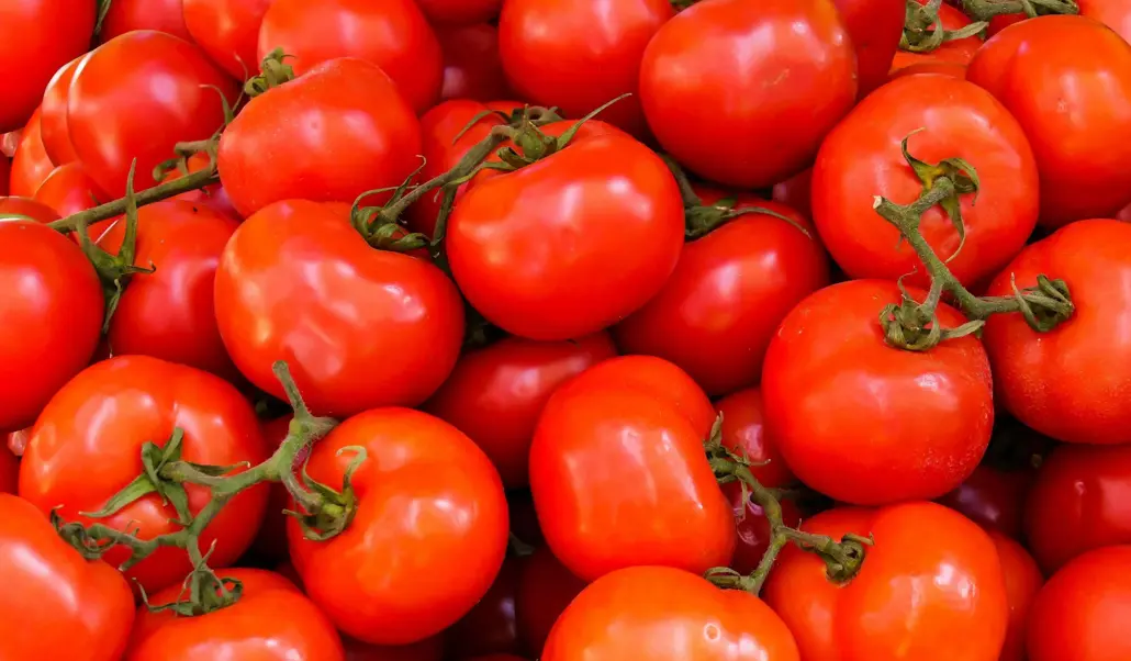 La Tomatina Festival: How to Prepare for Spain’s Iconic Tomato Battle