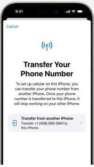 Transfer eSIM to new phone settings screenshot on Iphone