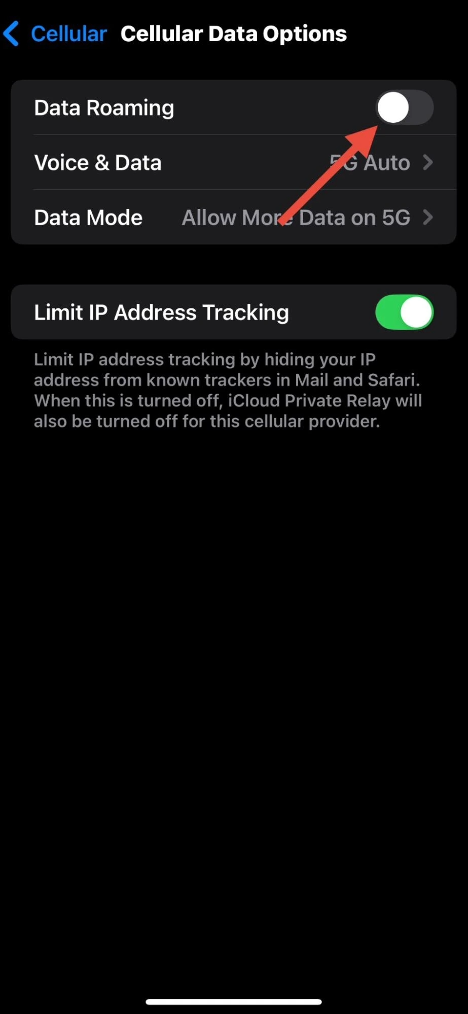 screenshot of iPhone settings menu