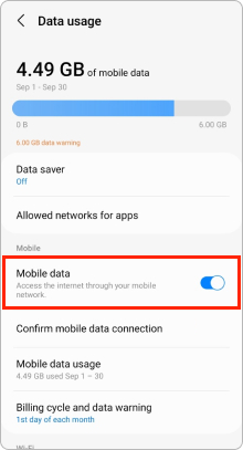 Enable Mobile Data Settings